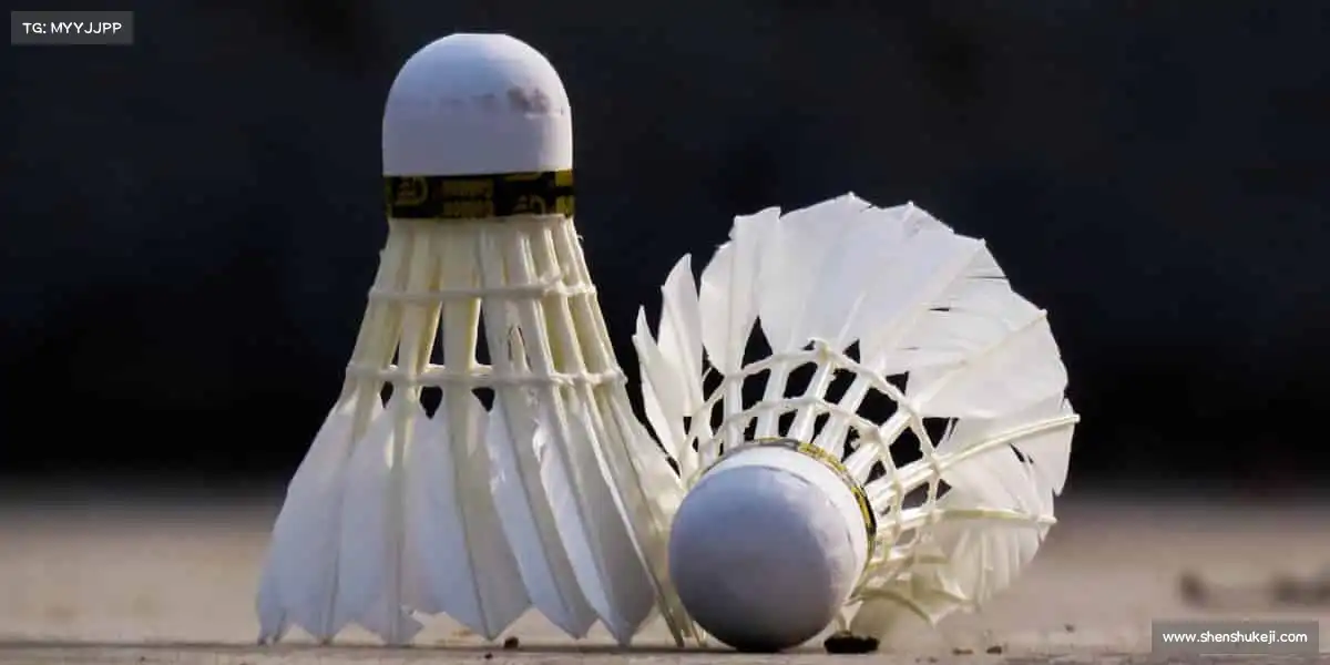 我们的品牌价值